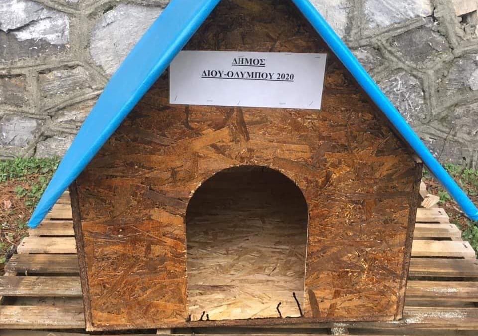 Ο Δήμος Δίου-Ολύμπου τοποθέτησε ξύλινα σπιτάκια για τα αδέσποτα