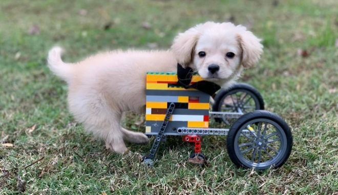 12χρονος κατασκεύασε αναπηρικό καροτσάκι από Lego για το κουτάβι του