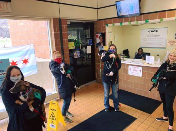 Θετική είδηση: Κι όμως υιοθετήθηκαν όλα τα αδέσποτα από καταφύγιο ζώων!