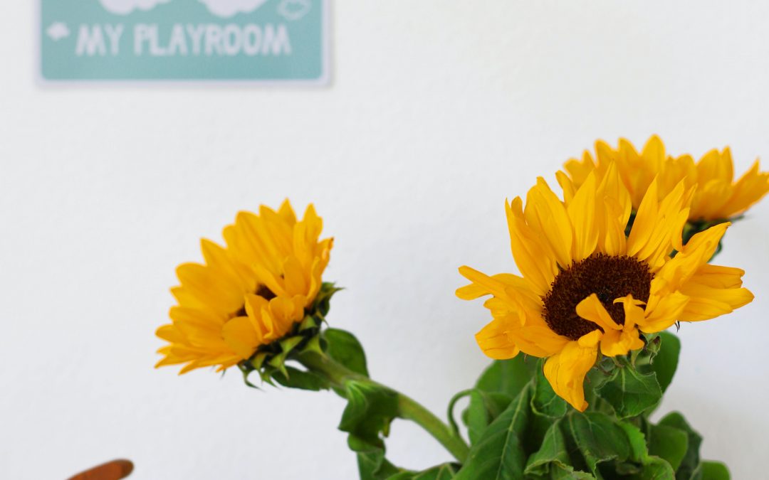 Μοντεσσόρι στο σπίτι