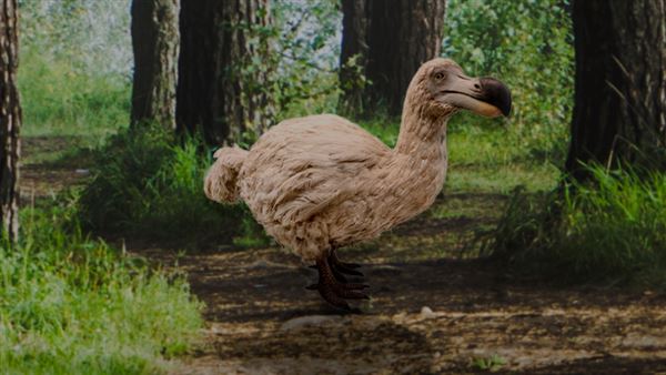 Το WWF «ζωντανεύει» ξανά είδη που εξαφανίστηκαν σε ένα ψηφιακό μουσείο