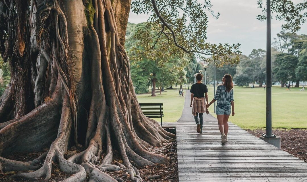 Το Σίδνεϊ επιβάλλει λευκές στέγες και ένα δέντρο σε κάθε κήπο για να αντιμετωπίσει την κλιματική αλλαγή