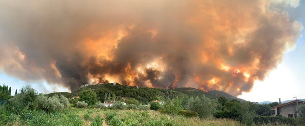 Στηρίζουμε και βοηθάμε τα τραυματισμένα ζώα: Δείτε τους τρόπους